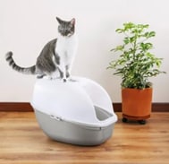 Arenero Para Gato Gris Metalizado 5pcs